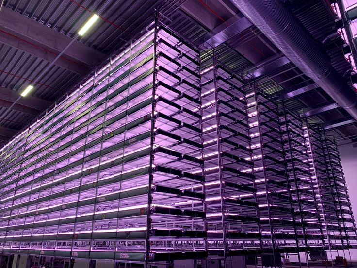 SkyFarms Innovation
